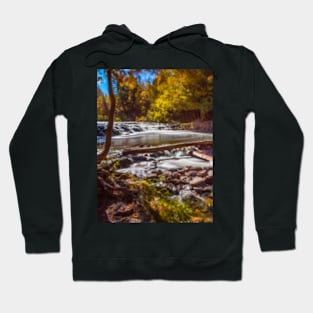 Michigan Falls Hoodie